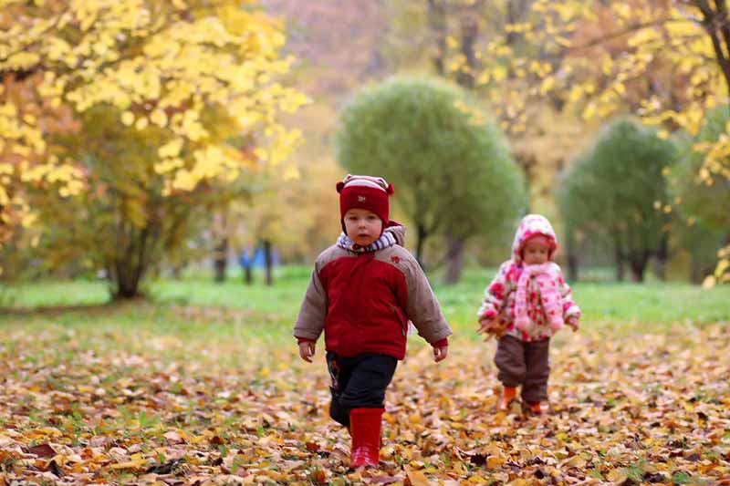 Los Beneficios de Caminar en el Exterior y Explorar la Naturaleza